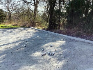 Ferienhaus Lynderup Außenaufnahme 11