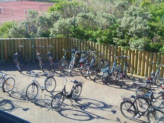 Vakantieappartement Borkum Omgeving 17