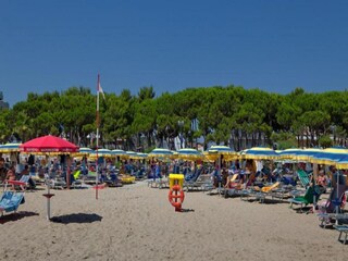 Apartment Alba Adriatica Umgebung 38