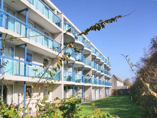 Maison de vacances Callantsoog  1