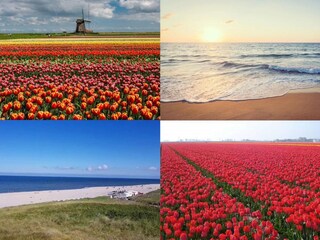 Ferienwohnung Callantsoog  39