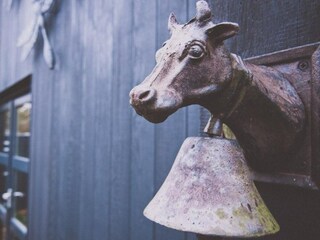 Ferienhaus Warmenhuizen  19