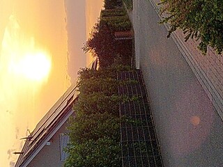 Sonnenuntergang Fewo Klee im Umfeld