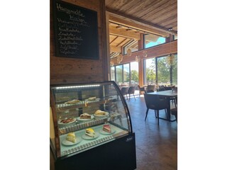 Hausgemachte_Kuchen_Schone_Aussicht