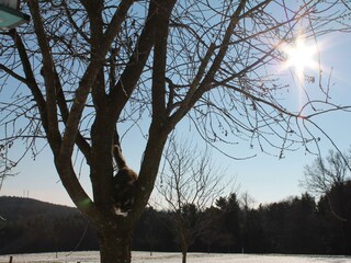 Postls Hirschbirnhof_Landschaft_Oststeiermark