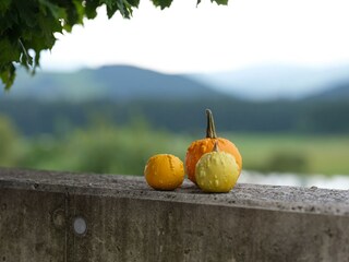 Almenland Herbst