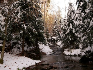 Winter am Falkenbach