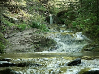 Am Wasserweg