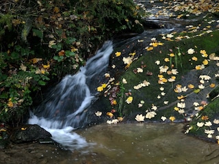 Herbststimmung