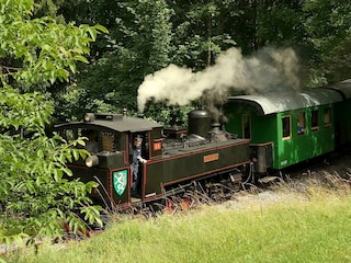 Die Feistritztalbahn fährt wieder