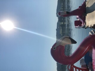 Bootsvermietung Segelschule Reiger