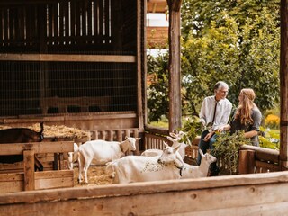 Ziegen beim Almenlandhof