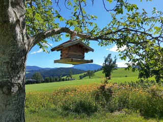 IMG_20200819_151753480_HDR