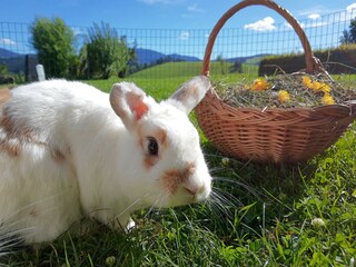 IMG_20200819_163446089