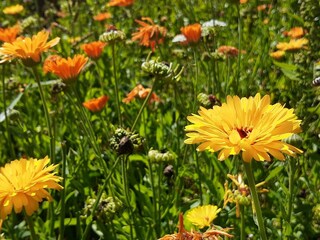 IMG_20200819_152156049