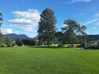 IMG_20200819_164139704