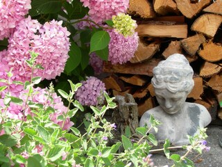 Moarhofstöckl_Blumen_Oststeiermark