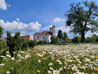 Moarhofstöckl Frühling am Weizberg