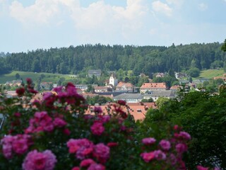 Moarhofstöckl_10 min. weg:Stadt Weiz_Oststeiermark
