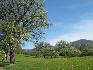 Moarhofstöckl_15 min. weg: Landscha_Oststeiermark