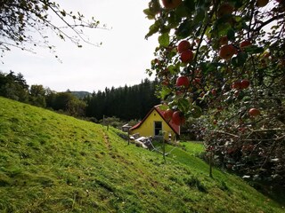 Ferienhaus Grabenhansl, Spörk
