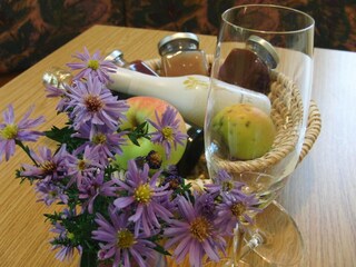 Ferienhaus Grabenhansl Wohnküche (8)