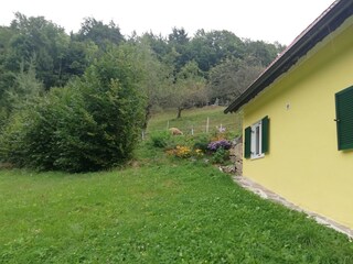 Ferienhaus Grabenhansl Urlaub Stubenberg am See