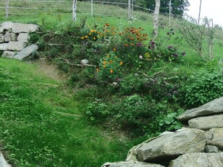 Ferienhaus Grabenhansl Terrassen (1)