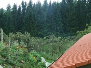 Ferienhaus Grabenhansl Terrassen (6)