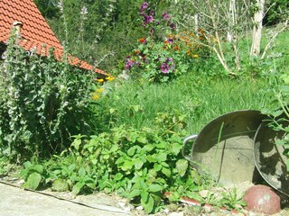 Ferienhaus Grabenhansl Terrassen (19)