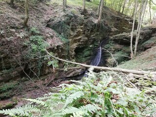 Ferienhaus Grabenhansl Natur & Menschen (32)