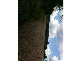 Ferienhaus Grabenhansl Natur & Menschen (45)