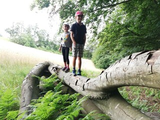 Ferienhaus Grabenhansl Natur & Menschen (52)