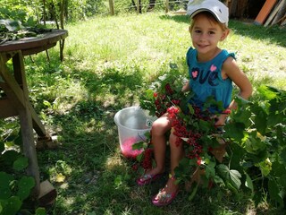 Ferienhaus Grabenhansl Natur & Menschen (19)