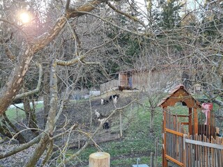 Ferienhaus Grabenhansl