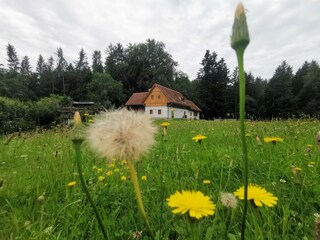 Ferienhaus Grabenhansl, Bauernhaus