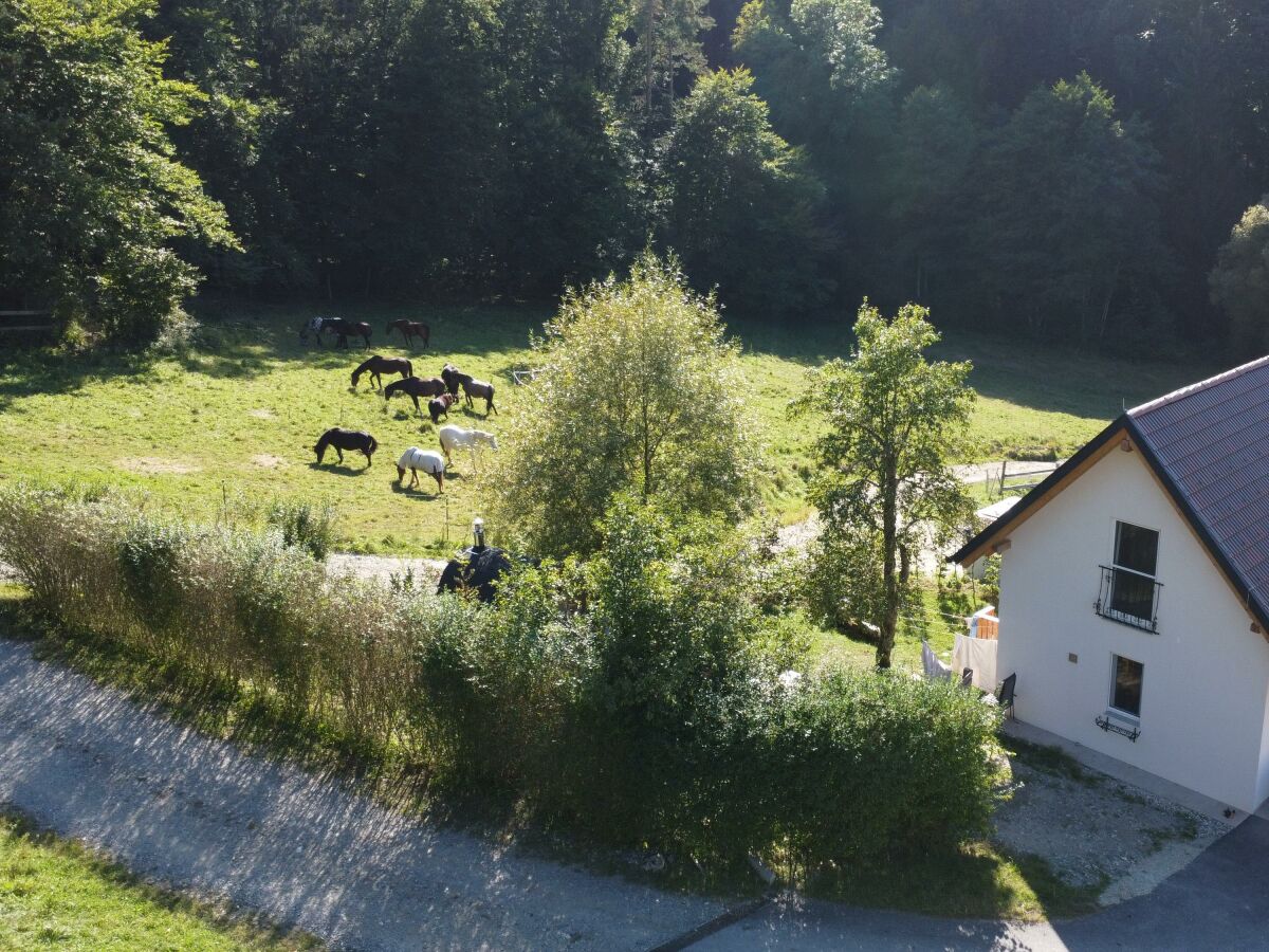 Apartment Kellerstöckl am Gut Kunterbunt