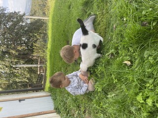 0878C912-35E0-4D70-907F-F62D53A2F238