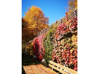 es herbstlt beim Landhaus Kurzen