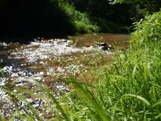 Naturparkbhf Pöltl_Bach hinter Haus_Oststeiermark