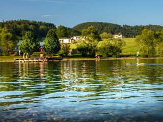 Blick vom See auf Almenland Apartment Passail