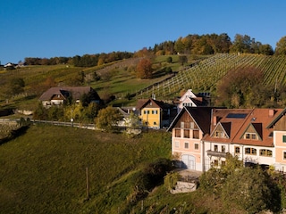 Weingut Wolfgang Lang Hoferberg