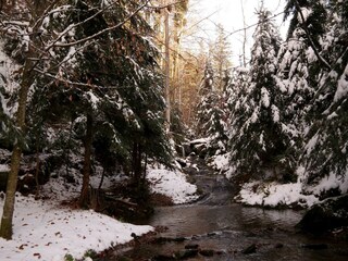 Winter am Falkenbach