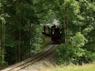 Die Feistritztalbahn passiert die Falkenbachbrücke