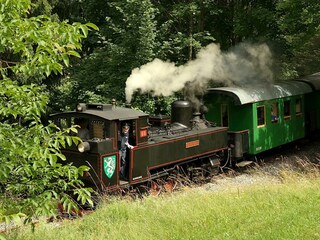 Die Feistritztalbahn fährt wieder