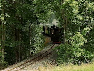 Die Feistritztalbahn passiert die Falkenbachbrücke