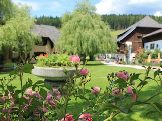 Bauernhof Hönigshof