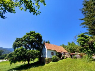 Gemütliches Kellerstöckl am sonnigen Stadtrand