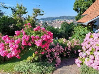 Moarhofstöckl_Blüten Eingangsbereich_Oststeiermark