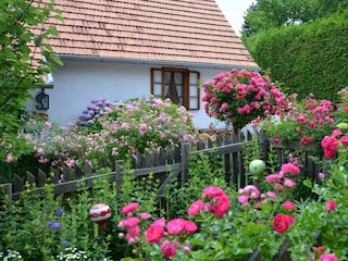 Moarhofstöckl_Blumen und Kräuter_Oststeiermark